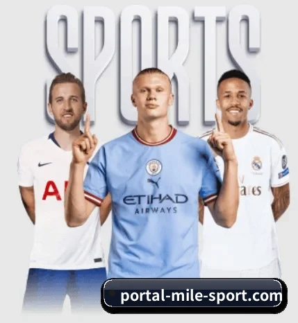 m.portal-mile-sport.com的方向